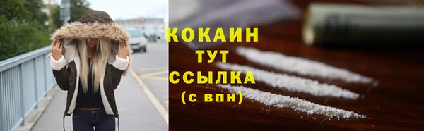 эйфоретик Магас