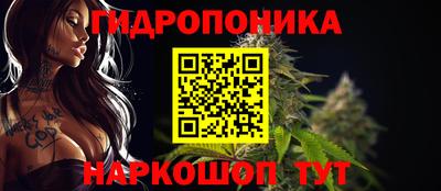 крисы Балахна