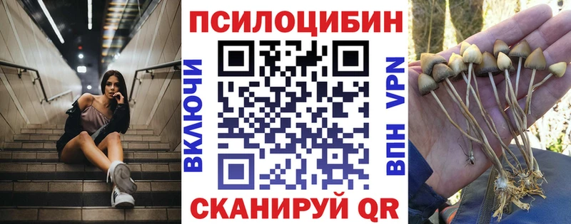 Псилоцибиновые грибы мухоморы Светлоград
