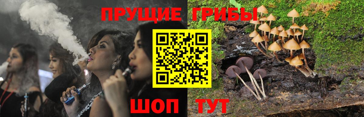 Галлюциногенные грибы Psilocybine cubensis  Вход с VPN  Светлоград 